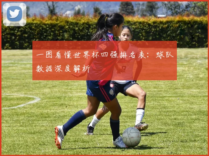 一图看懂世界杯四强排名表：球队数据深度解析