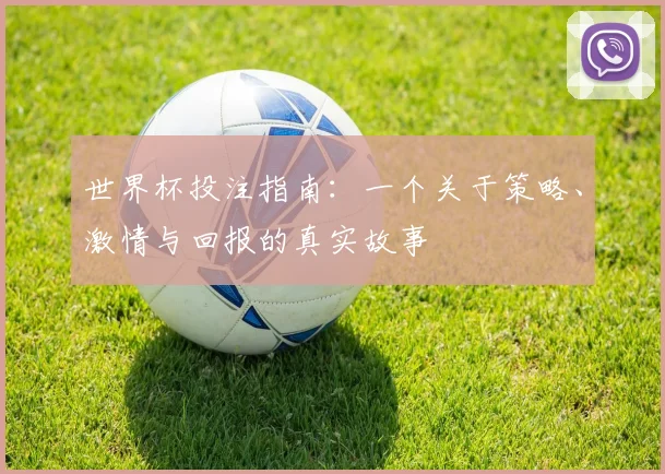 世界杯投注指南：一个关于策略、激情与回报的真实故事